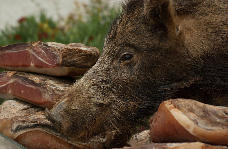 game, Delicatessen, no people, animal themes, pig, animal body part, resting, vertebrate, outdoors, Wild Boar, relaxation, Hunting, animal head, close-up