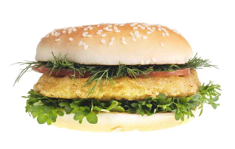 studio shot, sauce, grilled, hamburger, lettuce, salad, nutrition, icon, closeup, color, close-up, white background, take out food, cut out, bun, mayonnaise