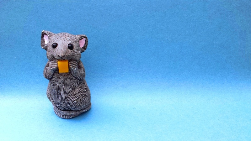 food, banner, animal themes, blue, animal, copy space, colored background, backdrop, toy, animals in the wild, vertebrate, one animal, mouse, funny, cheese