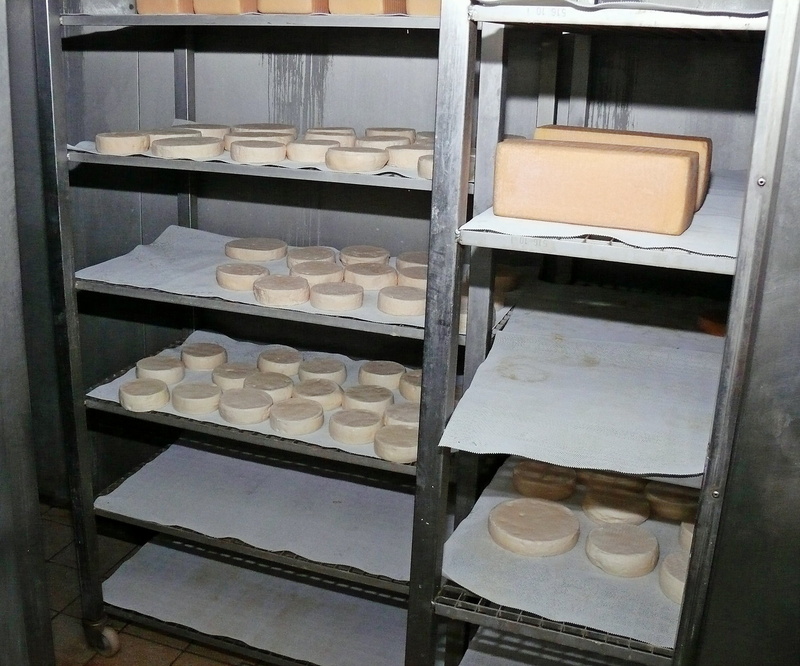 order, substantial, indoors, shelf, choice, no people, in a row, modern, hard cheese, raw milk cheese, still life, food, wood - material, cows milk cheese