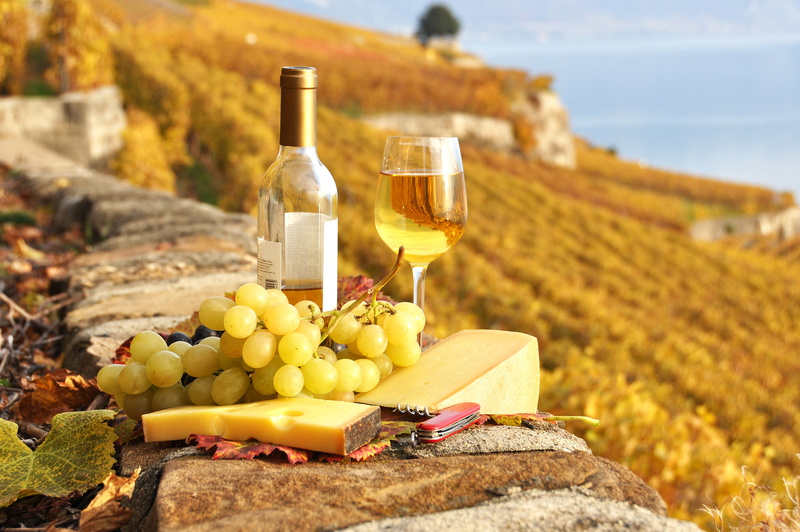 yellow, cheese, no People, food, healthy eating, sunlight, grape, nature, drink, ripe, camembert, drinking Glass, land, solid, food and drink, still life