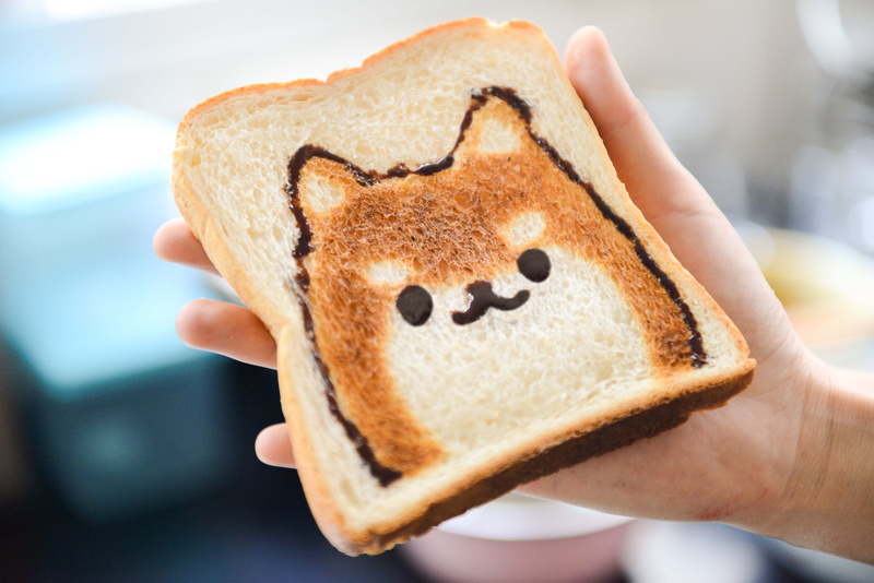 slice, bread, baked, homemade, snack, holding, baking, toasted bread, human body part, indoors, dog, lifestyles, focus on foreground, freshness, cute, close-up