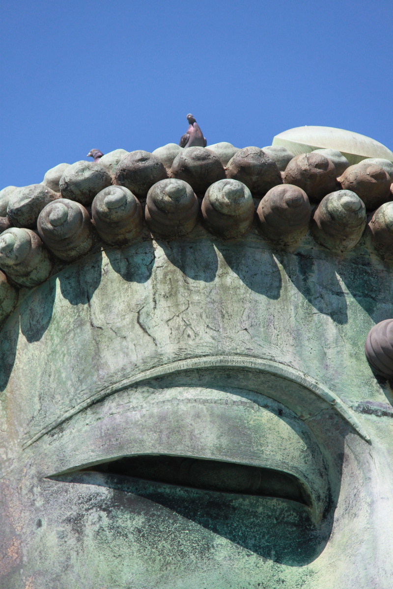 animal, zen, relax, philosophy, low angle view, culture, metal, animal wildlife, 4K, great buddha, outdoors, close-up, awakening, japan, sculpture, buddhism