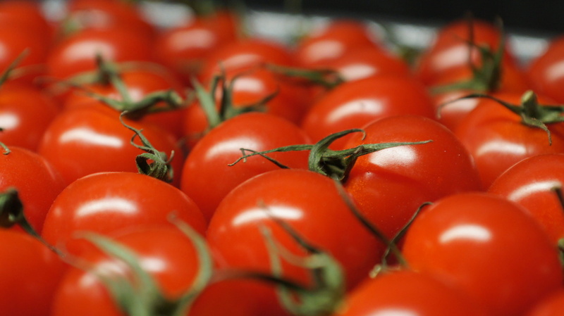 nutrition, group of objects, abundance, raw food, vegetables, tomatoes, wellbeing, ripe, large group of objects, group, red, meal, eat, fresh, fruit, delicious