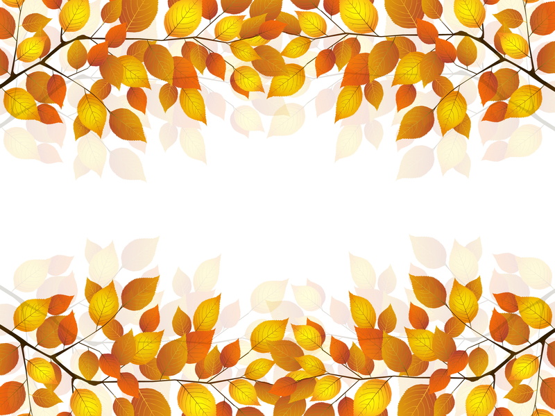 nature, still life, yellow, studio shot, geometric shape, sprig, backgrounds, floral pattern, full frame, white background, design, ornate, decoration