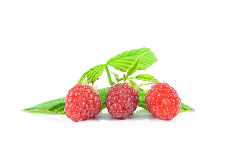 ripe raspberries, foliage, ripe, tasty, sad, organic, food, lifestyle, sprig, group of objects, diet, raspberry, indoors, studio shot, sweet Food, leaf
