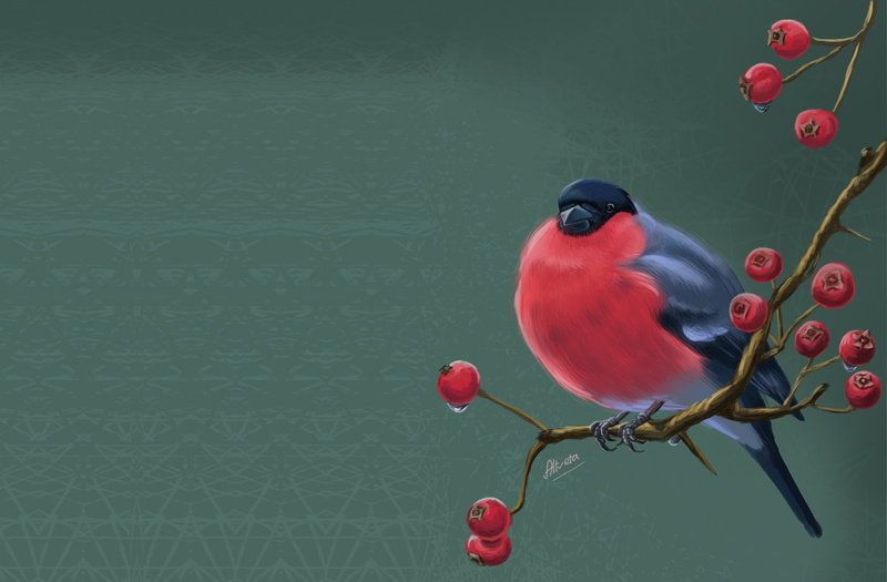 art, bullfinch, 2K, bird, Svetlana Antonova, childrens, winter, Rowan, sprig