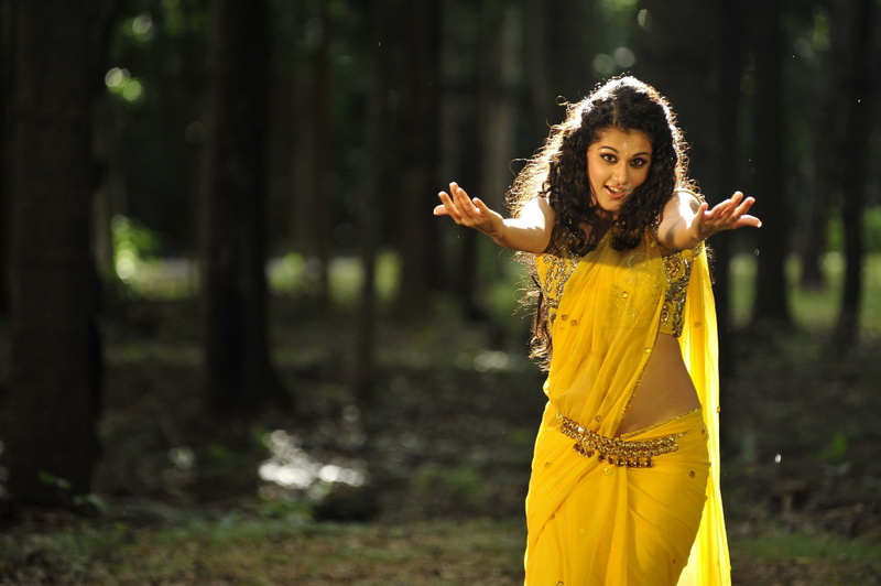 actress, pannu, hot, telugu, tollywood, bollywood, 1080P, sexy, indian, navel, saree, spicy, tapsee