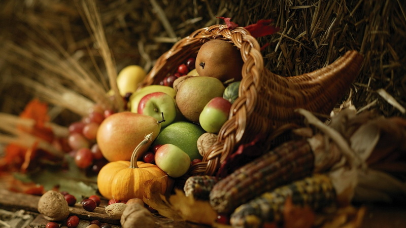 wheat, 1080P, pumpkin, corn, food, Cornucopia, apples