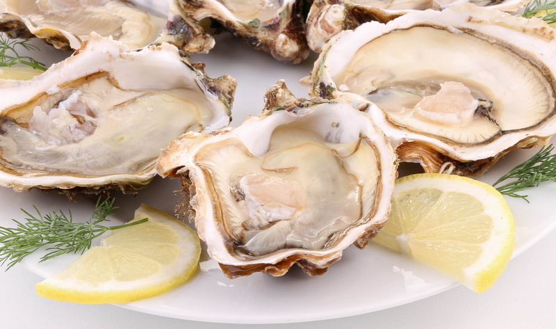 wellbeing, cooking, citrus fruit, lemon, animal, lunch, ready-to-eat, bivalve, scallop, freshness, vegetable, sea, refreshment, plate, dish, indoors, seafood