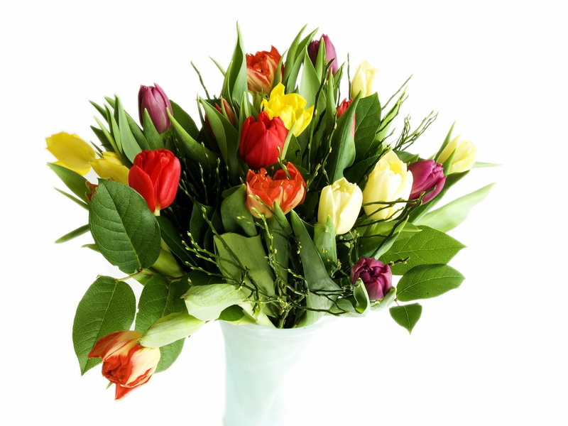 romance, petal, cut Flowers, color, gift, inflorescence, tulip, backgrounds, flower arrangement, indoors, fragility, white, bunch, bouquets, pink Color