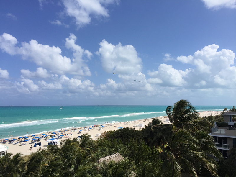 nature, no people, florida, miami beach, water, turquoise colored, sky, horizon over water, sea, land, tranquility, cloud - sky, horizon, tree, beauty in nature