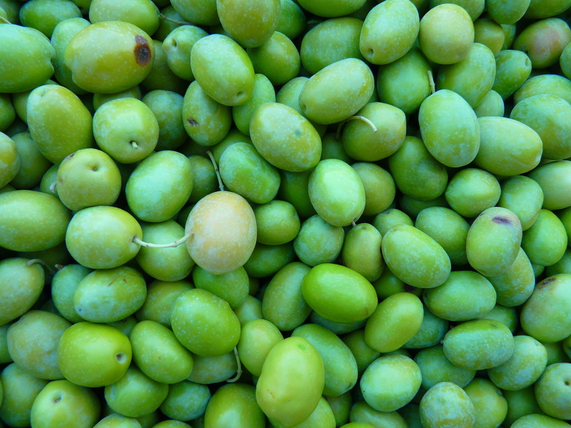 market stall, full frame, wellbeing, freshness, no people, green, Immature, Green Olives, olives, for sale, day, fruit, bunch, drupes, backgrounds, still life