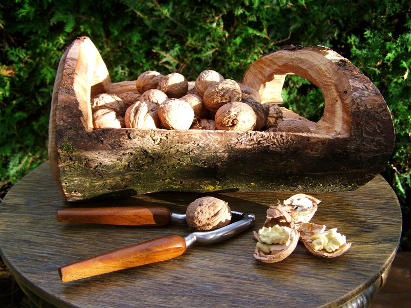 day, walnut, no people, table, focus on foreground, vegetable, drupe, fungus, close-up, tree, hard-shelled fruits, mushroom, edible mushroom, food and drink