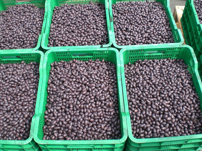 no people, container, consumerism, high angle view, 2K, retail, olives, green color, market, healthy eating, large group of objects, small business, food and drink