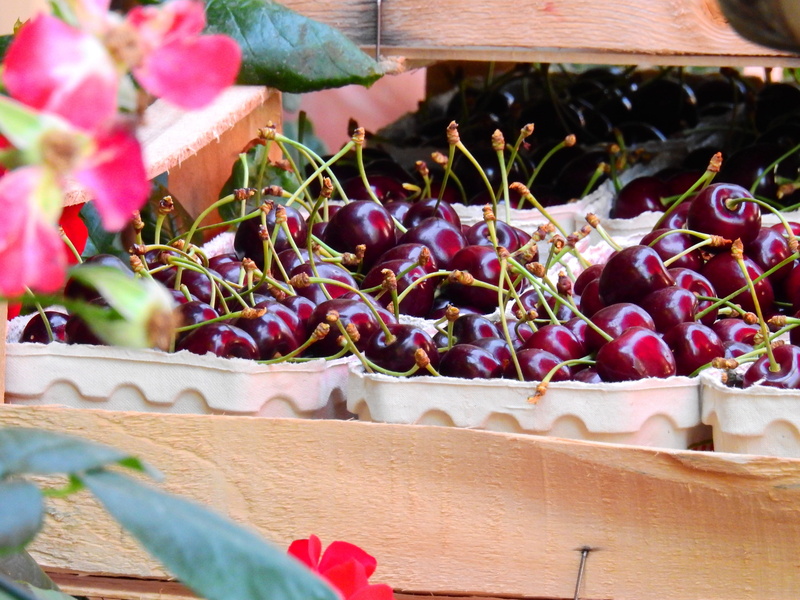 retail, Sales, eat, outdoors, berry Fruit, close-up, delicious, growth, sales stand, organic, selective focus, flowering plant, nature, plant, no people