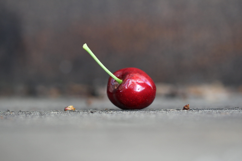 ground floor, selective focus, concerns, one, loneliness, wood - material, smart, alone, healthy eating, plant stem, lonely, red, nature, no people, summer