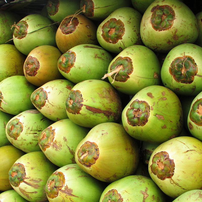 abundance, tropical fruit, backgrounds, food, wellbeing, day, drupe, market, freshness, green, 2K, tropical, Coco, market stall, no people, healthy eating