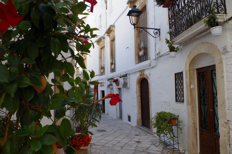 potted plant, building, no people, south, lighting equipment, plant, building exterior, historical centre, Locorotondo, street, glimpse, holiday, residential district