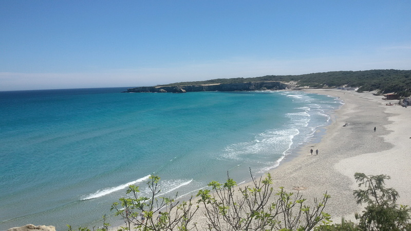 land, outdoors, scenics - nature, summer, tranquil scene, horizon, plant, sand, non-urban scene, beauty in nature, landscape, 2K, turquoise colored, adriatic