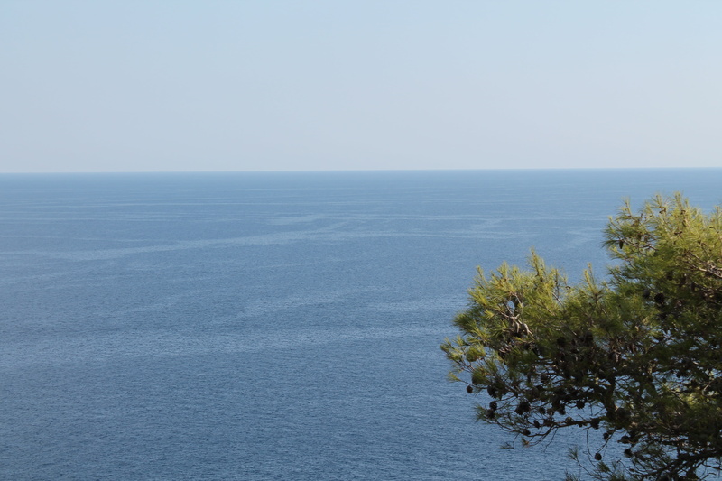 salento, outdoors, horizon, no people, tranquility, plant, beach, idyllic, sky, day, tranquil scene, landscape, tree, nature, clear sky, beauty in nature