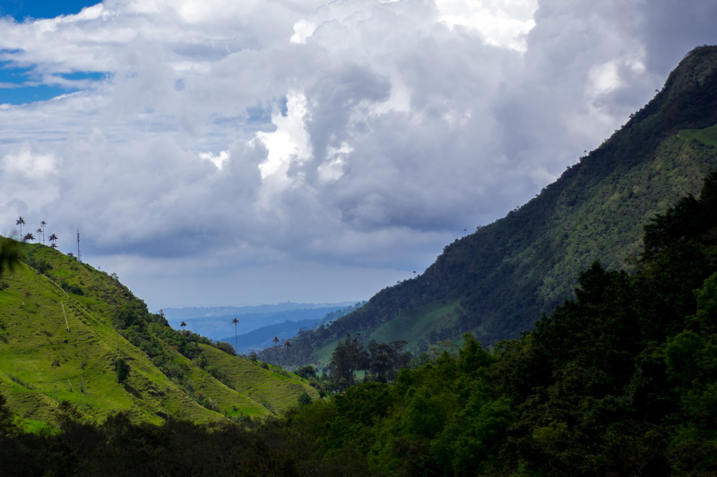 plant, valley, salento, tranquility, mountain range, 4K, cloud - sky, tree, green color, beauty in nature, green valley, environment, day, growth, non-urban scene