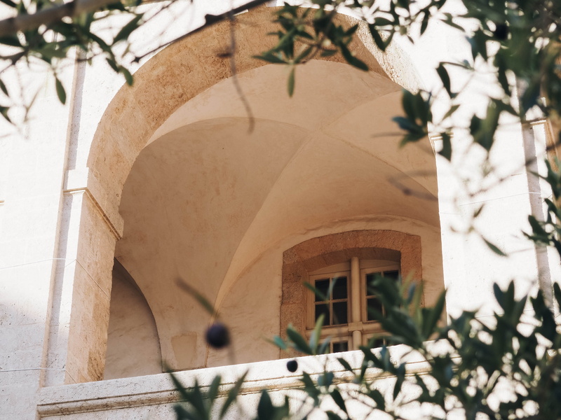 roman, view, arch, banister, day, crypt, handrail, green, low angle view, growth, house, concrete, flagstone, plant part, garden, branch, focus on foreground