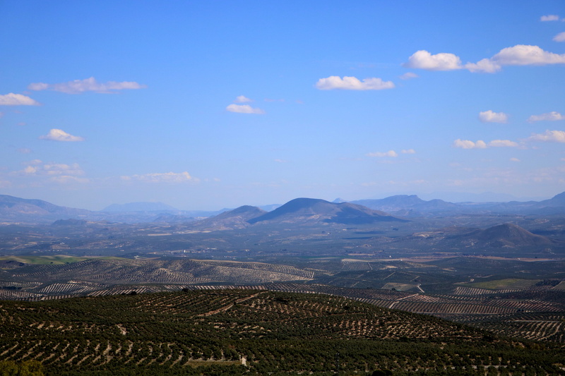 green, 5K, cloud - sky, sky, trees, cultivation, beauty in nature, plantation, tranquil scene, rural scene, mountain range, mountain, baeza, scenics - nature