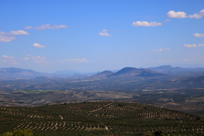 road, environment, mountain, outdoors, olive trees, 5K, day, tranquil scene, beauty in nature, green, spain, cloud - sky, winemaking, land, mountain range
