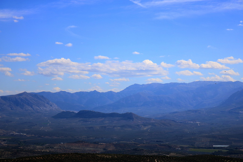 cultivation, jaén, rural scene, landscape, andalusia, remote, travel destinations, mountain range, outdoors, trees, spain, tranquility, land, beauty in nature
