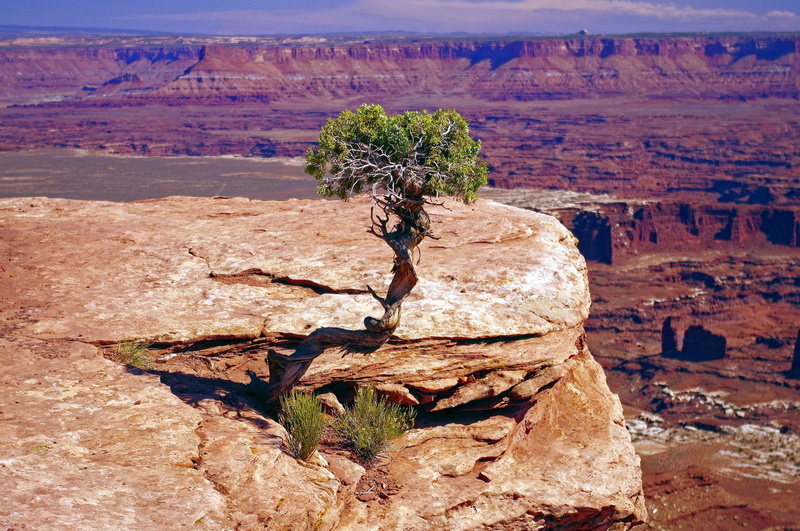 juniper, 2K, outdoors, rock - object, land, rock formation, solid, environment, stone, day, sand, red, mountain, landscape, scenics - nature, formation