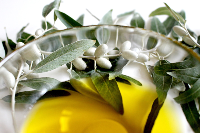 white, nutrition, photo, bowl, delicacy, 4K, glass, plant, mediterranean, italy, olive oil, flower, flower head, close-up, food and drink, leaf, olive garden