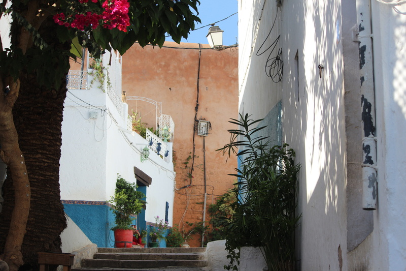 oujda, crafts, casablanca, morocco, trunk, luxury, building, rabat, built structure, color, image, tree, wall - building feature, travel, mosque, moroco