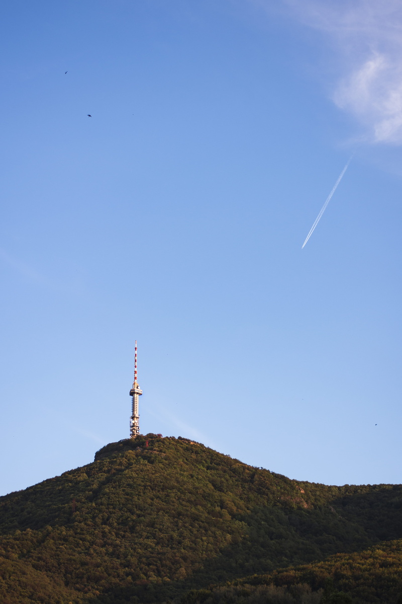 communication, low angle view, 5K, vitosha, mountain, scenics - nature, field, sky, clear sky, animal, beauty in nature, nature, tower, bulgaria, outdoors