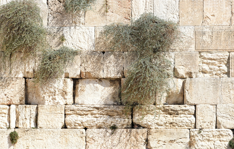 history, sunlight, no people, built structure, architecture, jerusalem, pattern, israel, backgrounds, walling, textured, prayer, saint, sacred, judaism