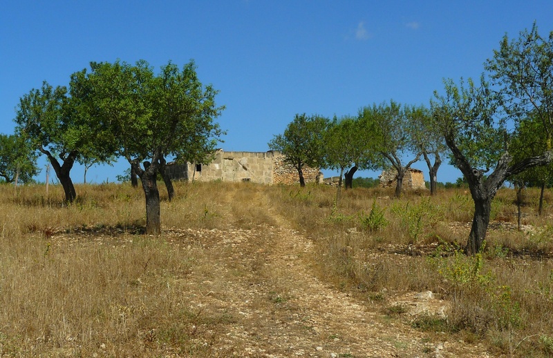 blue, summer, holiday, land, south, lane, commercial way, finca, outdoors, built structure, tranquil scene, sunlight, karg, ruin, clear sky, dry, home