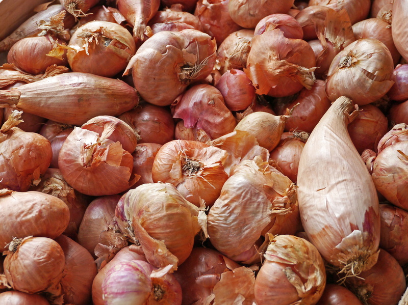 large group of objects, still life, onions, retail, healthy eating, background, vegetables, no people, 4K, freshness, backgrounds, market, food, food and drink