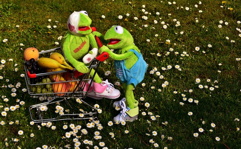 outdoors, freshness, field, still life, grass, green color, shopping cart, food and drink, childhood, day, child, kermit, farmers local market, representation