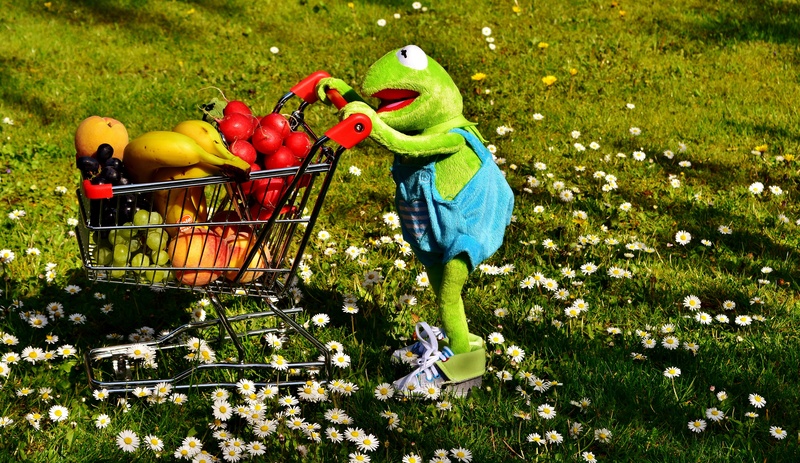 frog, high angle view, animal themes, nature, green color, representation, food, peaches, vegetables, still life, outdoors, healthy shopping, food and drink