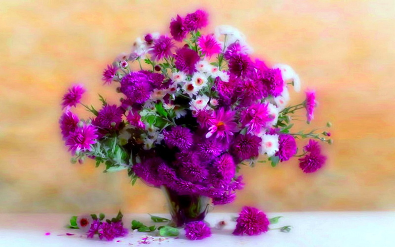 nature and landscapes, flower, a vase, table, 1080P, asters, pitcher, wild, delicacies, daisies, wild flowers