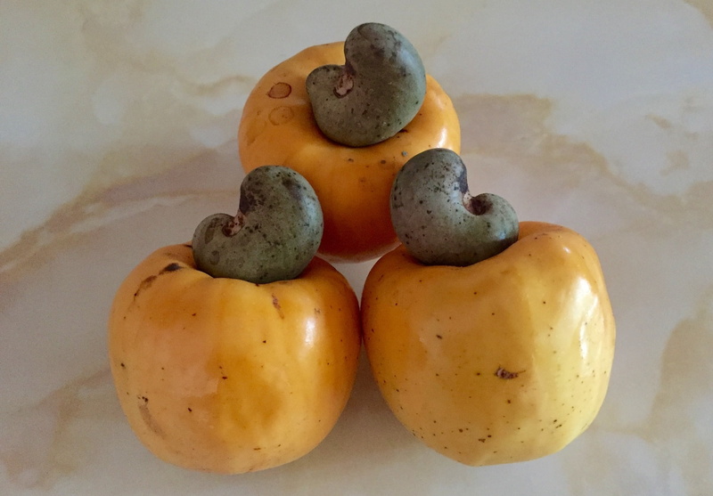 tasty, indoors, ingredient, organic, healthy, group of objects, orange, snack, delicacy, natural, freshness, nutrition, unique, cashew fruit, food and drink