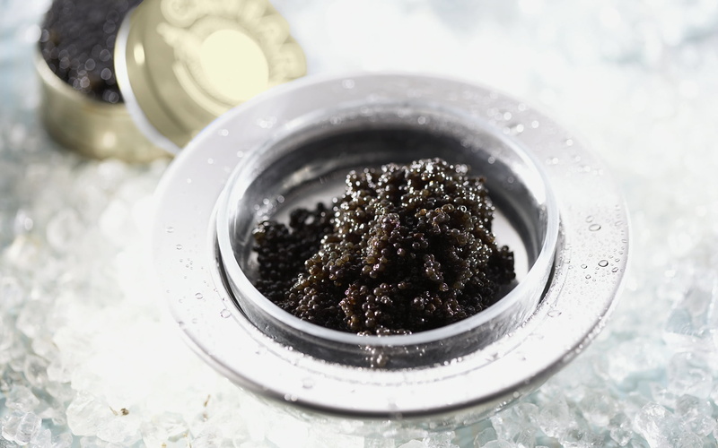 jar, preparation, bowl, 1080P, still life, plate, plant, high angle view, no people, close-up, cooking, backgrounds, caviar, dirt, container, white, black