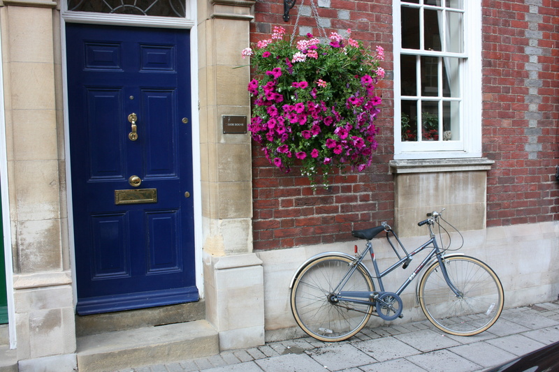 outdoors, flowering plant, residential district, vase of flowers, bicycle, simplicity, day, transportation, delicacy, architecture, building exterior, bike