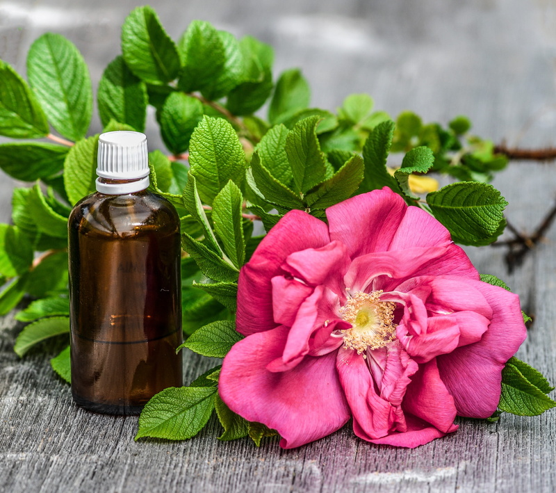 plant part, peony, 1080P, food and drink, pink color, rose, relaxation, scent, herbal, aromatherapy, health, healthcare and medicine, relax, spa, oil