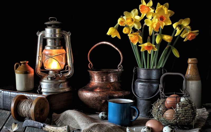 Daffodil, Egg, Flower, Lantern, Food, Still Life, 1080P, Cup