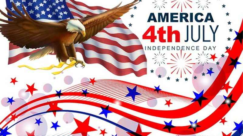 patriotism, bird, people, chicken - bird, event, celebration, united, rooster, 4K, eagle, american, bald, nature, independence, spread wings, animal wildlife