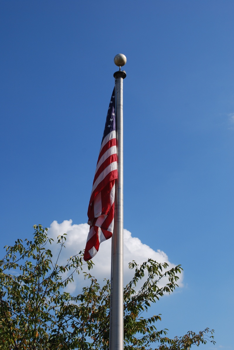 pole, democracy, copy space, striped, patriotism, national icon, no people, wind, tree, low angle view, 4K, america, red, blue, july 4, outdoors, independence