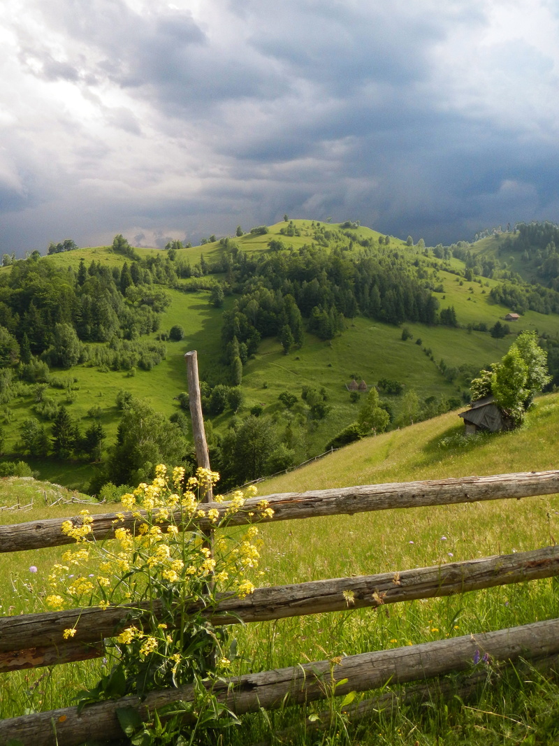 scenics - nature, outdoors, fence, green color, no people, hills, barrier, plant, 4K, măgura, nature, boundary, field, tranquility, beauty in nature, day