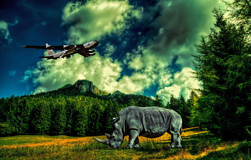 Dorga, strada, italia, italy, Marco, gray, 4K, green tree, tree, bergamo, surreal, green, landscape, HDR, photography, fantasy, near, Rhinoceros, lombardia
