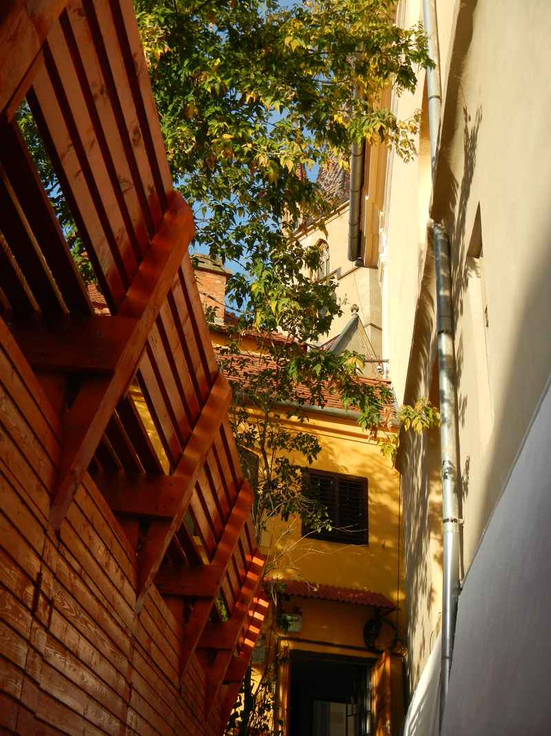 4K, house, fir, residential district, bench, handrail, city, town, staircase, day, built structure, banister, wall - building feature, leaf, nature, outdoors